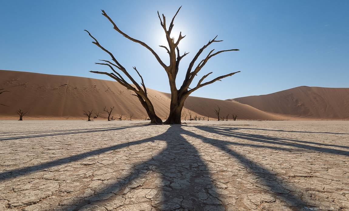 voyage photo namibie centre 95960642 galerie 10