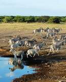 voyage photo namibie ete florian launette promo