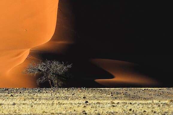 voyage photo namibie ete florian launette promo