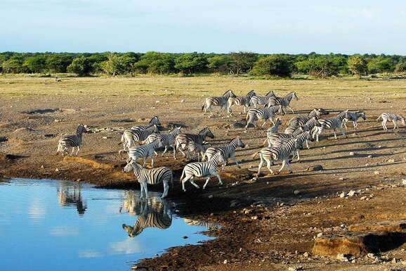 voyage photo namibie ete florian launette promo depart