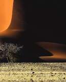 voyage photo namibie ete florian launette promo depart