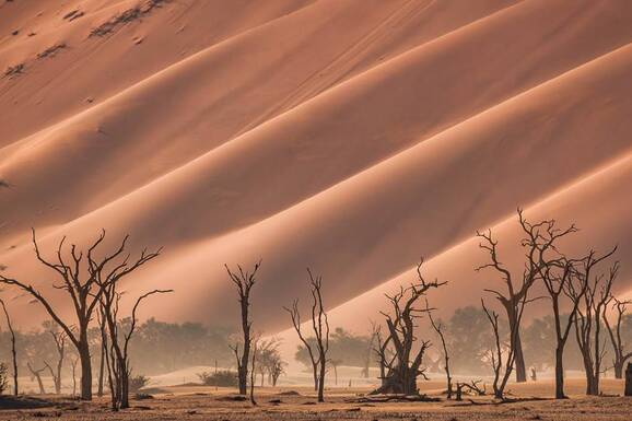 voyage photo namibie guillaume astruc galerie 27