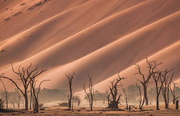 voyage photo namibie guillaume astruc galerie 27