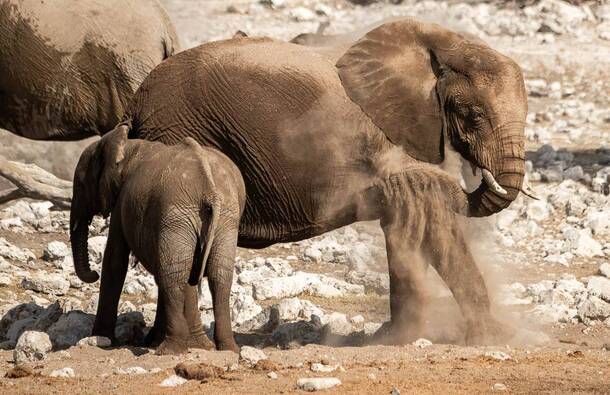 voyage photo namibie guillaume astruc galerie