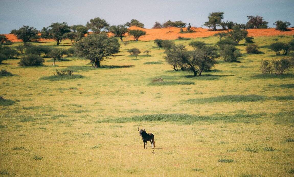 voyage photo namibie leo coulongeat promo 7