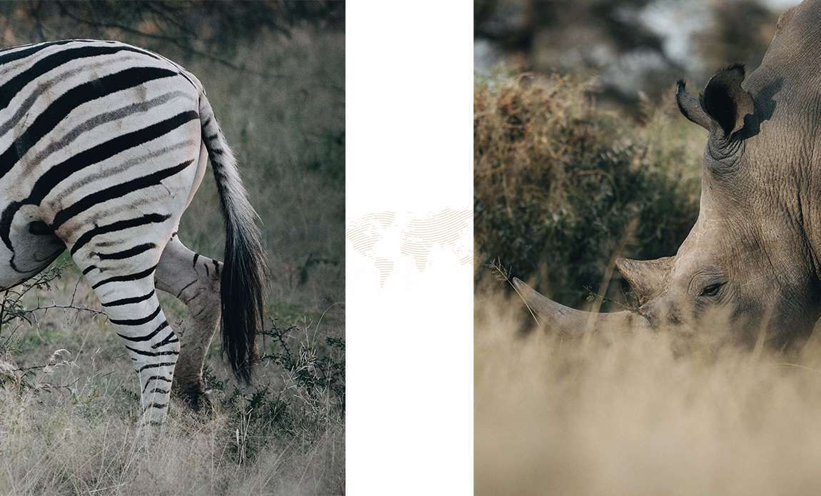 voyage photo namibie romain charrier galerie 1