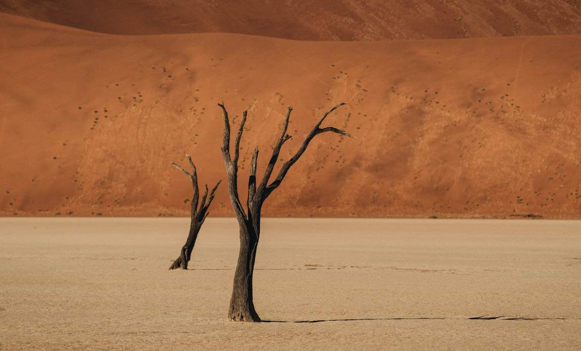 voyage photo namibie romain charrier galerie 16