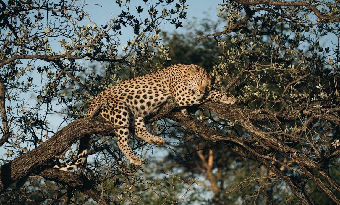 voyage photo namibie romain charrier galerie 2