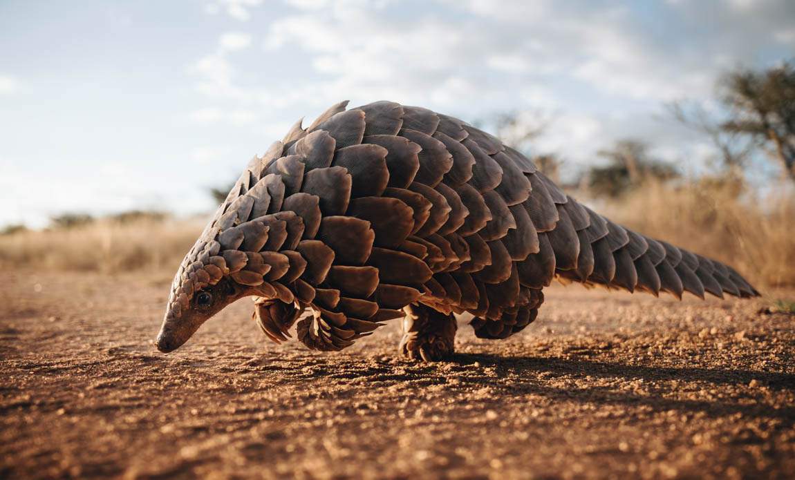 voyage photo namibie romain charrier galerie 22