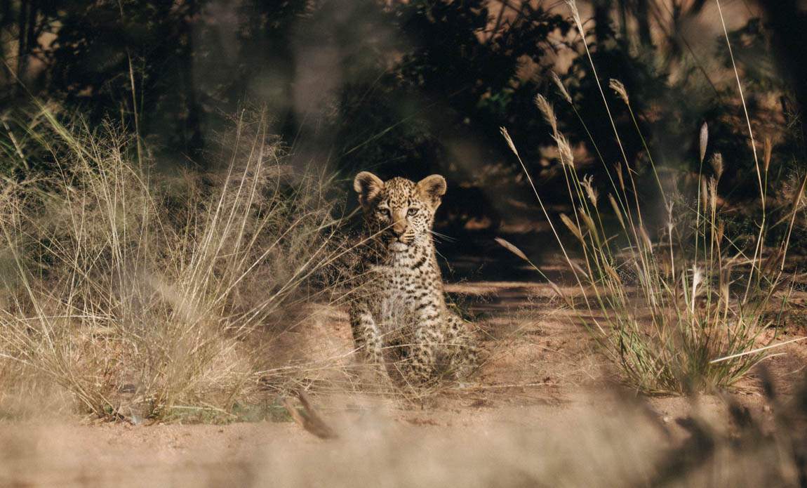 voyage photo namibie romain charrier galerie 3