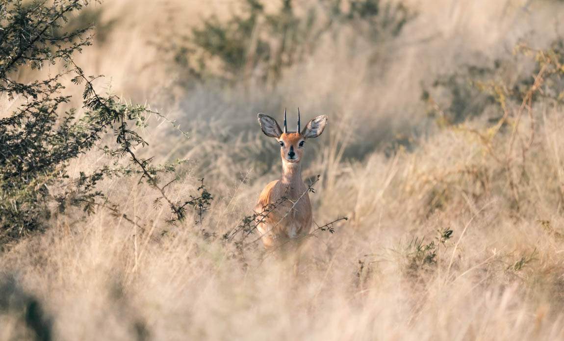 voyage photo namibie romain charrier galerie 5