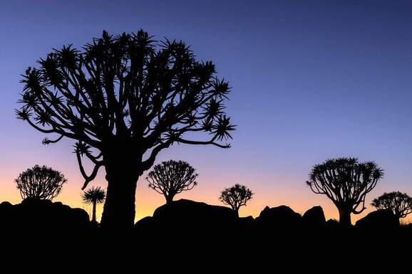 voyage photo namibie sud