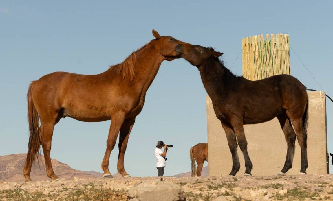 voyage photo namibie sud olga bargan 1