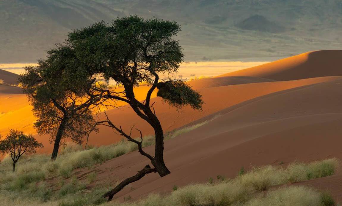 voyage photo namibie sud olga bargan 3