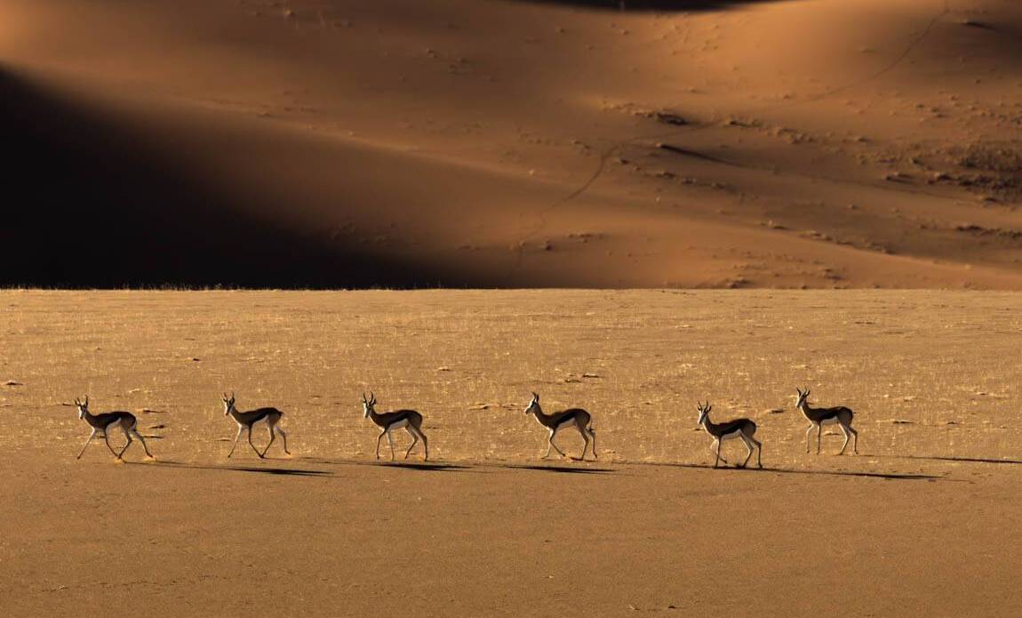 voyage photo namibie sud olga bargan 7