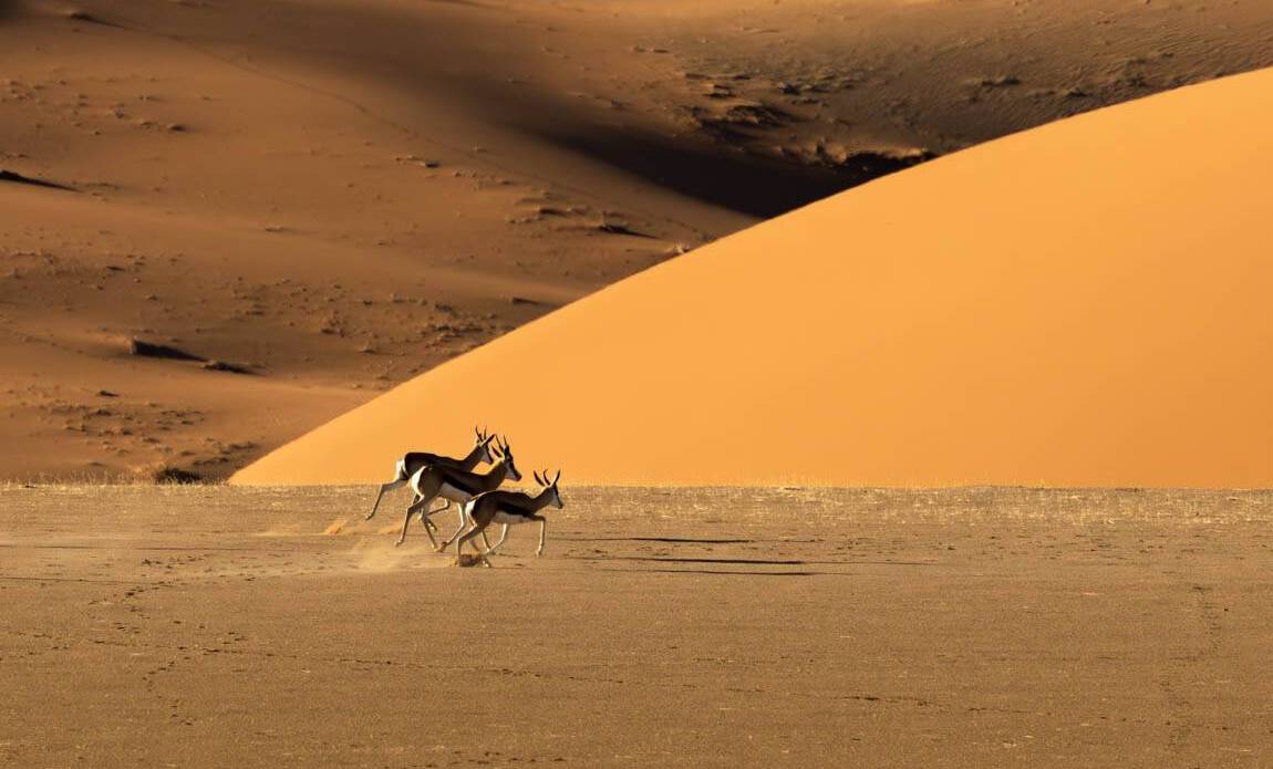 voyage photo namibie sud olga bargan 8