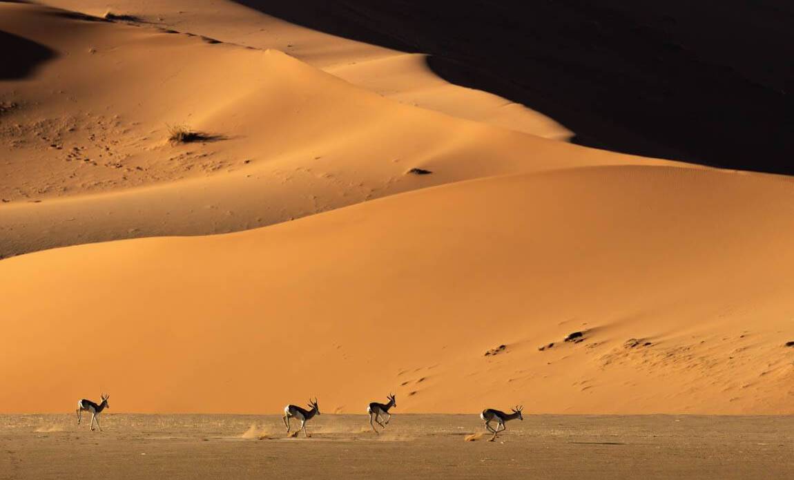 voyage photo namibie sud olga bargan 9