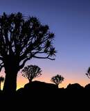 voyage photo namibie sud vincent