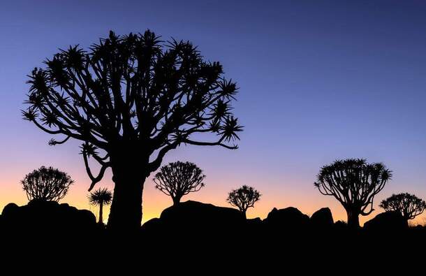 voyage photo namibie sud vincent frances galerie