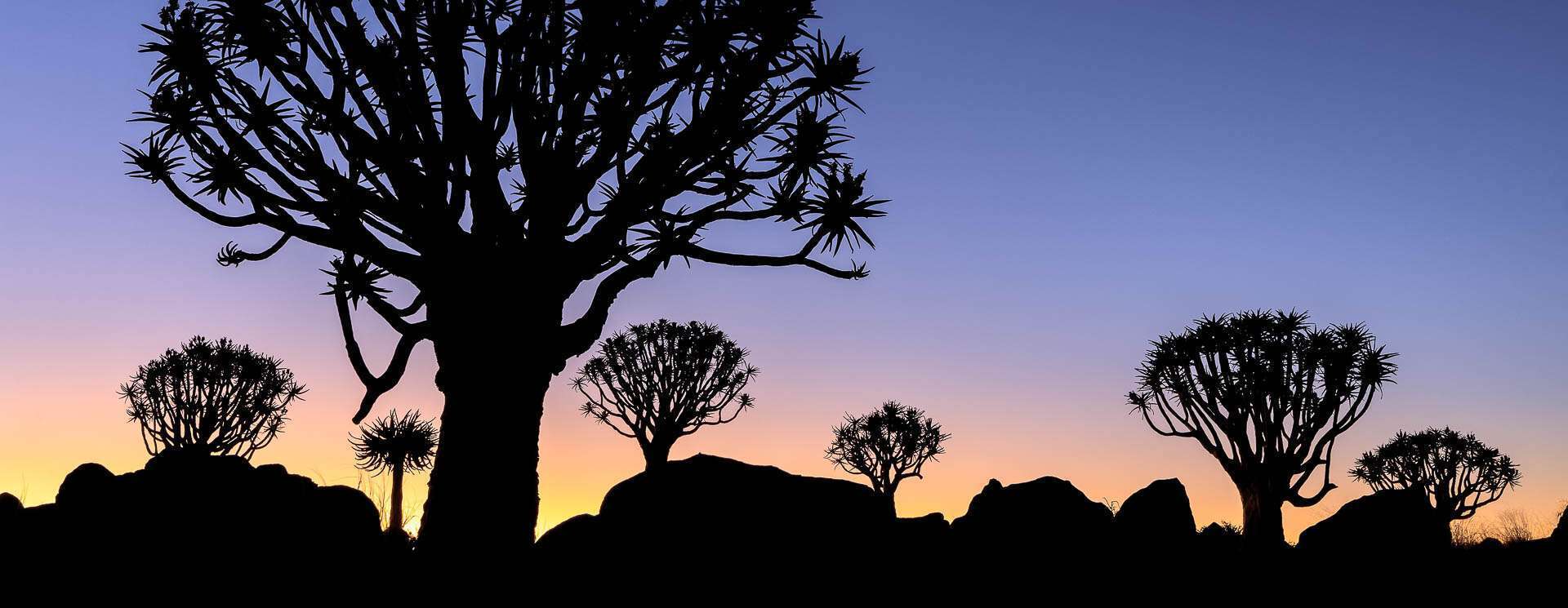 voyage photo namibie