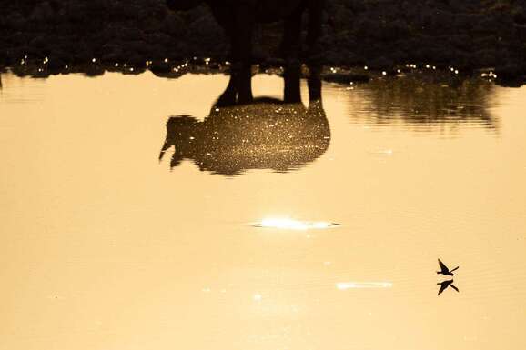 voyage photo namibie vincent