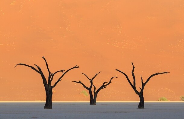 voyage photo namibie vincent
