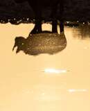 voyage photo namibie vincent frances