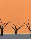 voyage photo namibie vincent frances