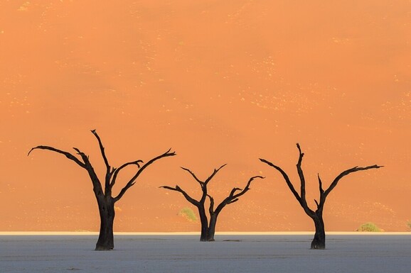 voyage photo namibie vincent frances