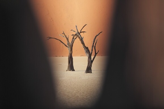 voyage photo namibie vincent frances promo 12