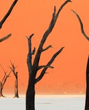 voyage photo namibie vincent frances promo 5
