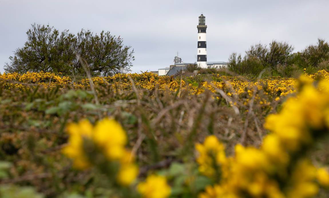 voyage photo ouessant remi lemenicier galerie 11