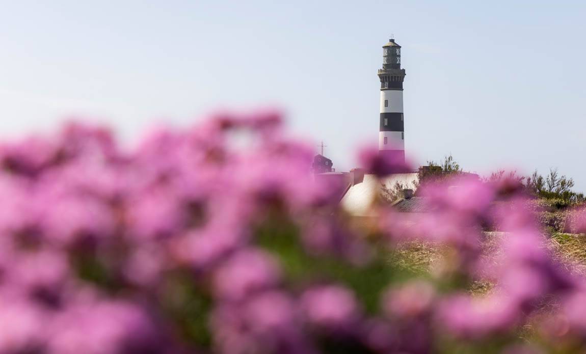 voyage photo ouessant remi lemenicier galerie 3