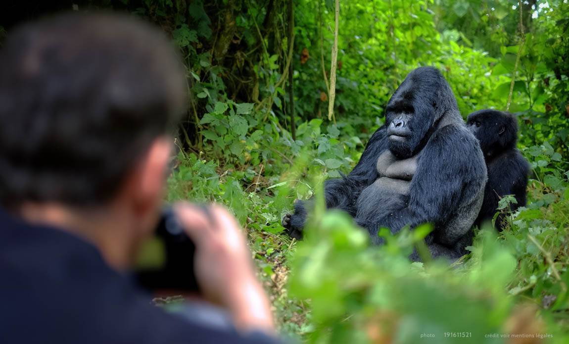 voyage photo ouganda as 191611521 galerie 37