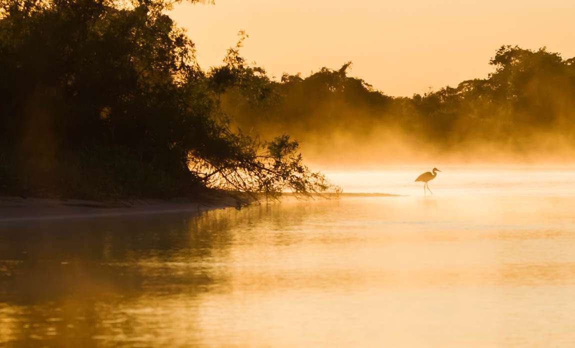 voyage photo pantanal adobestock 226414266