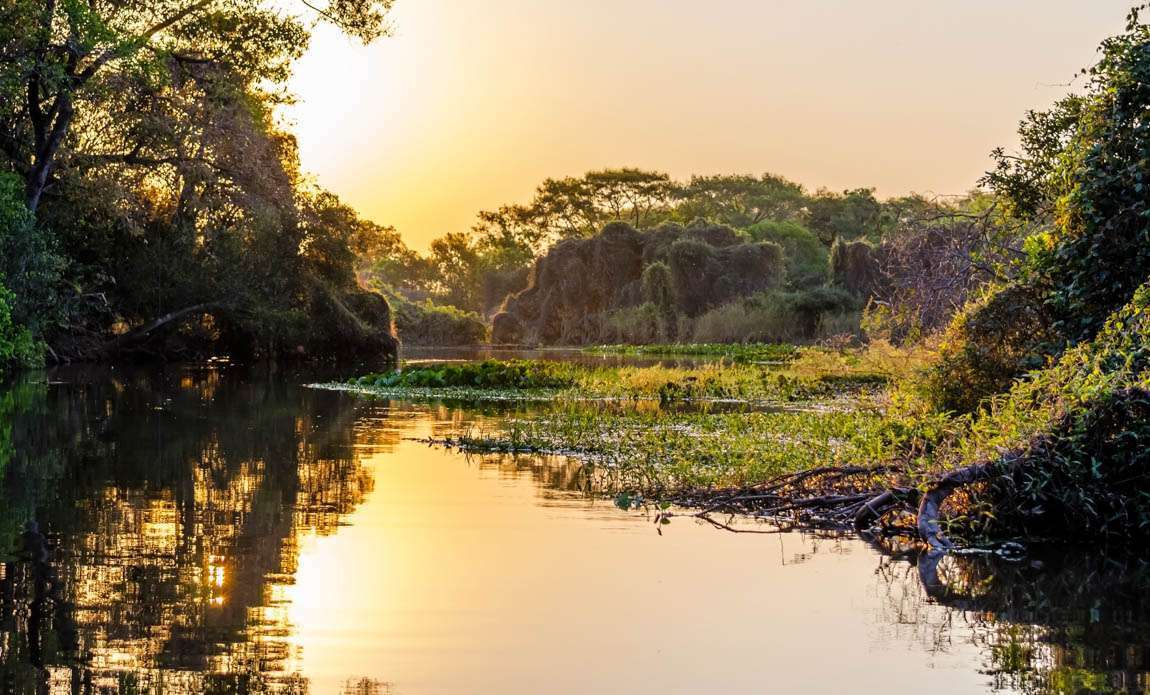 voyage photo pantanal adobestock 335399645