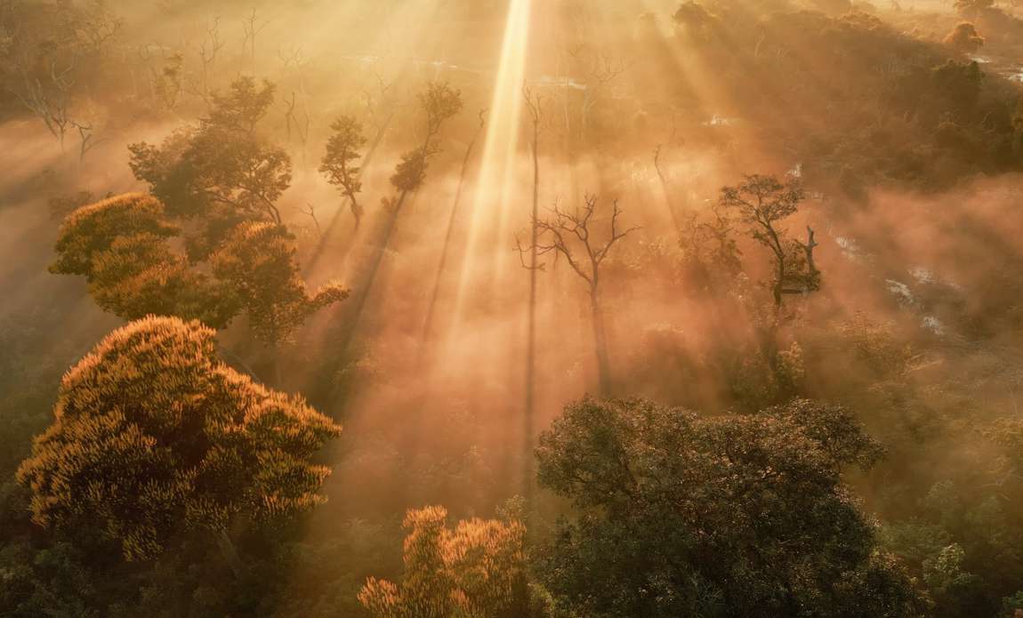 voyage photo pantanal florian launette galerie 25