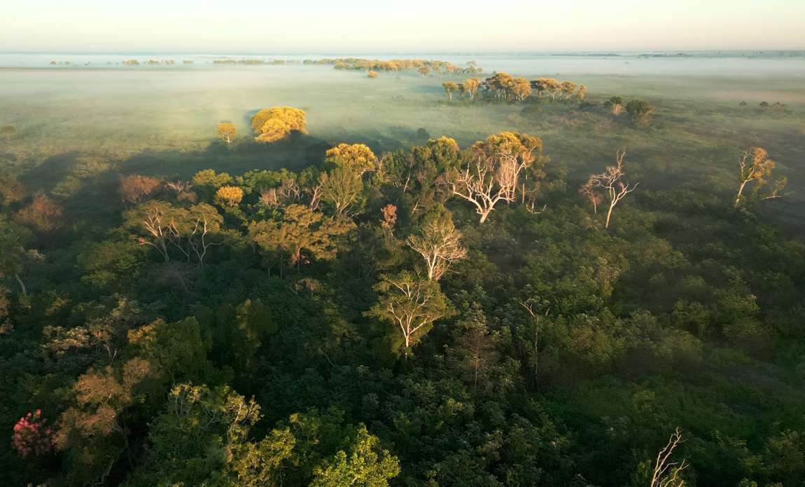 voyage photo pantanal florian launette galerie 30