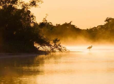 voyage photo pantanal gen adobestock 226414266