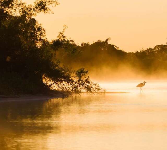voyage photo pantanal gen adobestock 226414266