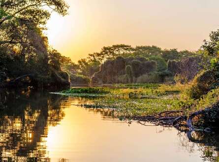 voyage photo pantanal gen adobestock 335399645