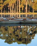 voyage photo paris vincent frances