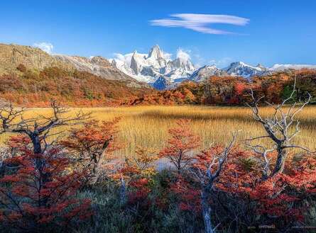 voyage photo patagonie 599574652 gen 7