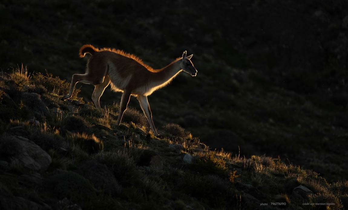 voyage photo patagonie 796776190 galerie 4