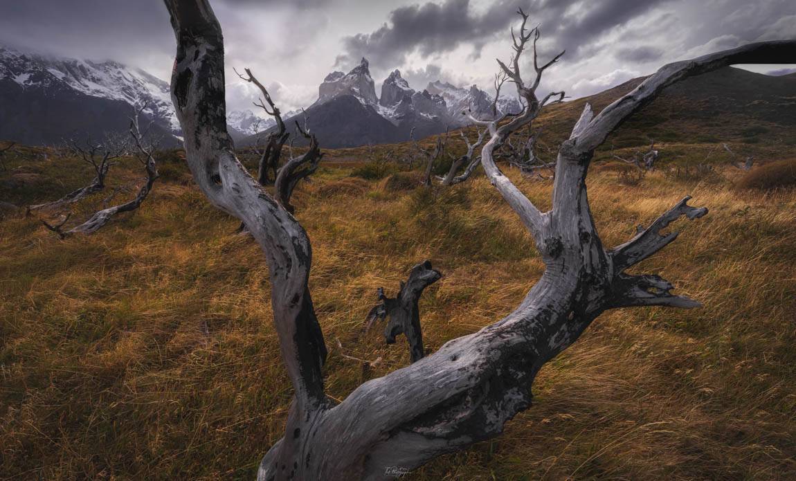 voyage photo patagonie tgal galerie 28