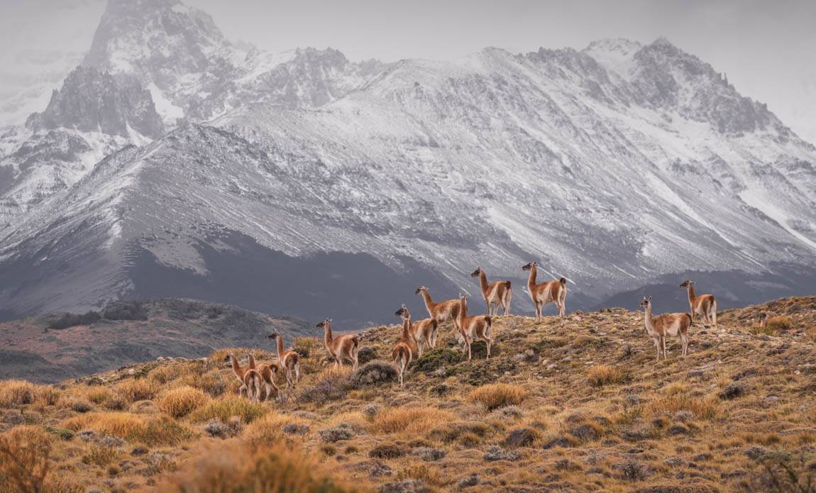 voyage photo patagonie tgal galerie 6