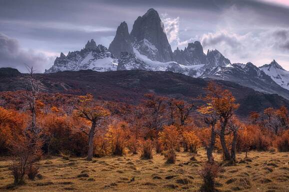 voyage photo patagonie tgal promo 25