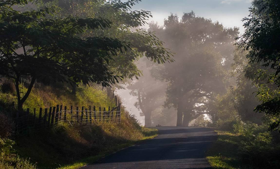 voyage photo pays basque serge strippentoire galerie 18