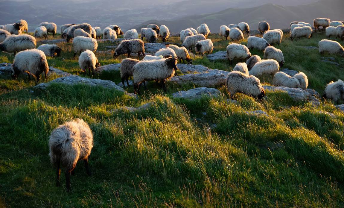 voyage photo pays basque serge strippentoire galerie 21