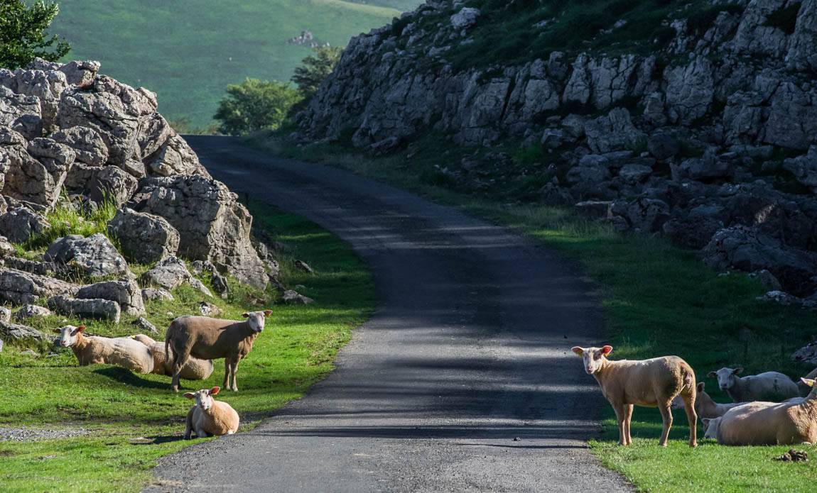 voyage photo pays basque serge strippentoire galerie 6